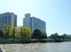 2200 Powell St photo